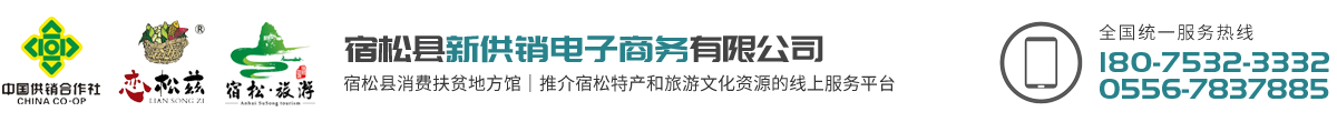 宿松縣新供銷電子商務有限公司